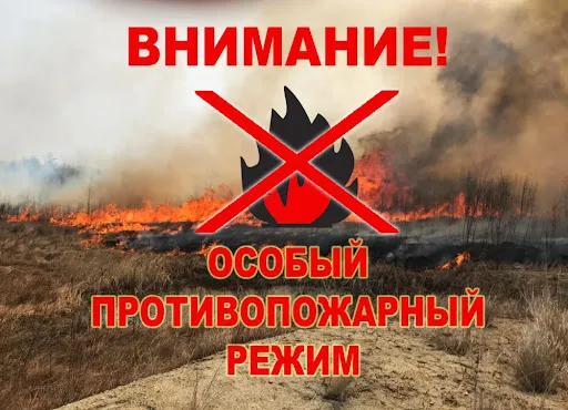 Постановление Правительства Нижегородской области "Об установлении на территории Нижегородской области особого противопожарного режима"